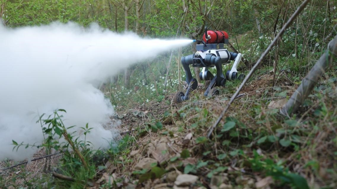 1746841076438473.jpg 图片2.jpg